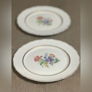 1950s Vintage Keystone Canonsburg Floral Plates | Set of 2 | 22K Gold